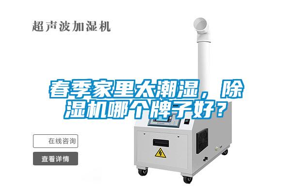 春季家里太潮濕，除濕機哪個牌子好？