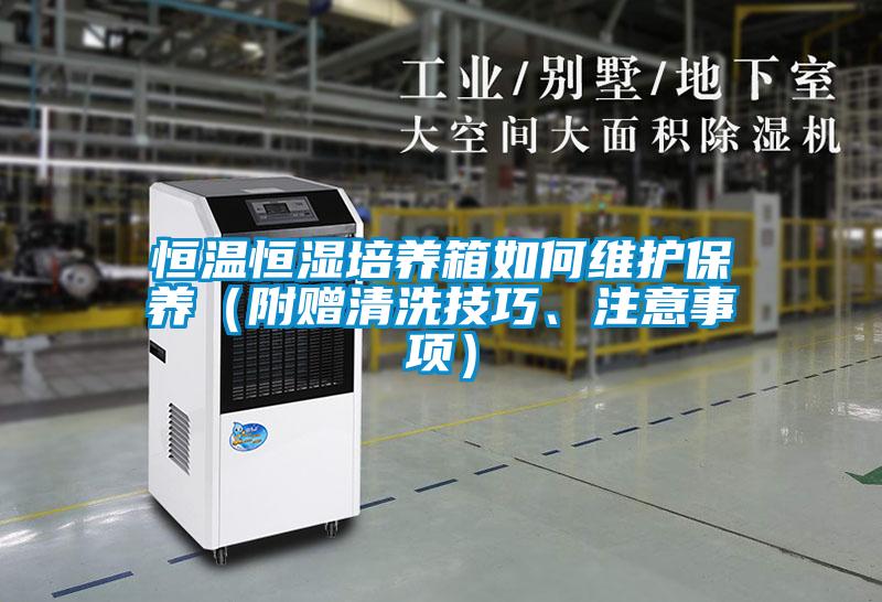 恒溫恒濕培養箱如何維護保養（附贈清洗技巧、注意事項）
