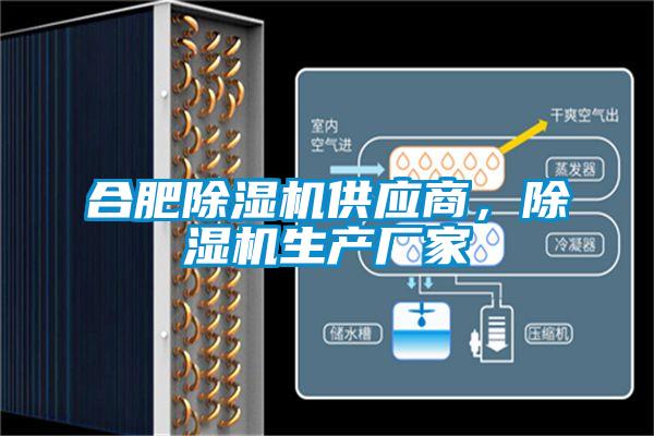 合肥除濕機供應商，除濕機生產廠家