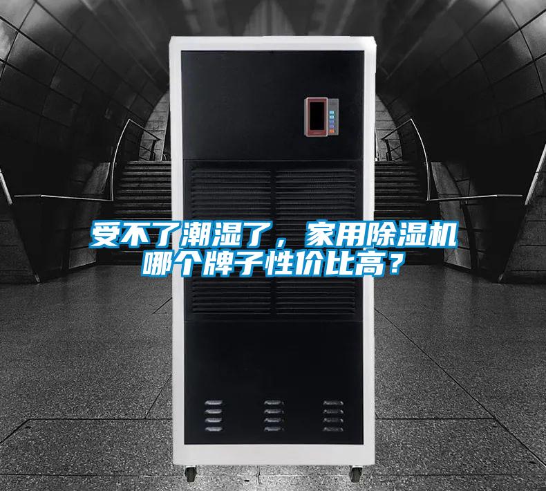 受不了潮濕了，家用除濕機哪個牌子性價比高？