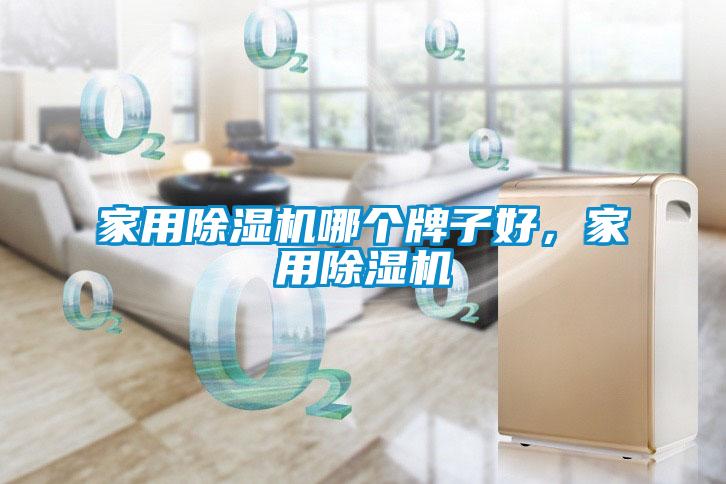 家用除濕機哪個牌子好，家用除濕機