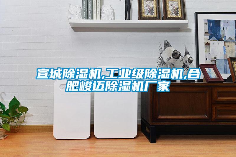 宣城除濕機,工業級除濕機,合肥峻邁除濕機廠家