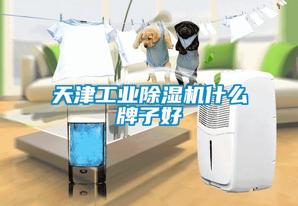 天津工業除濕機什么牌子好