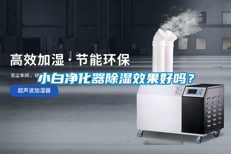小白凈化器除濕效果好嗎？