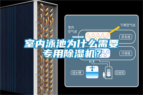 室內泳池為什么需要專用除濕機？