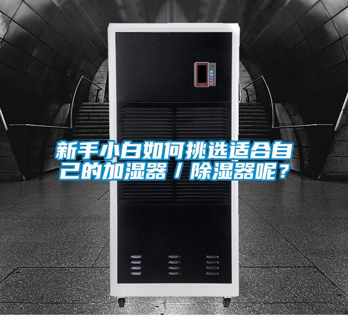 新手小白如何挑選適合自己的加濕器／除濕器呢？