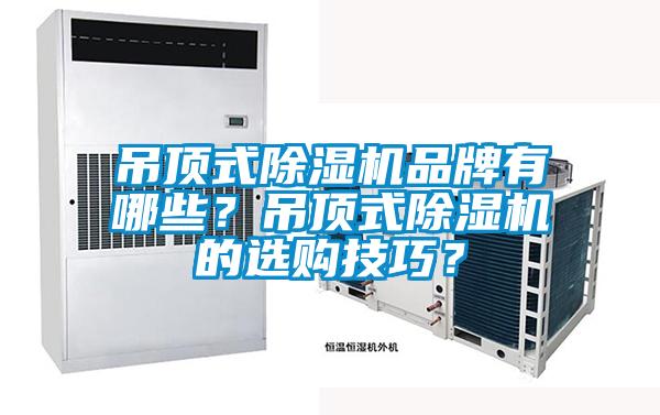 吊頂式除濕機品牌有哪些？吊頂式除濕機的選購技巧？