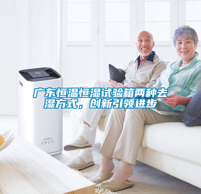 廣東恒溫恒濕試驗箱兩種去濕方式，創新引領進步