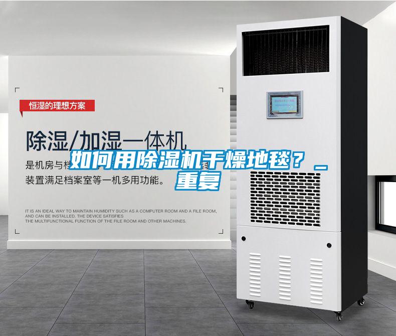 如何用除濕機干燥地毯？_重復