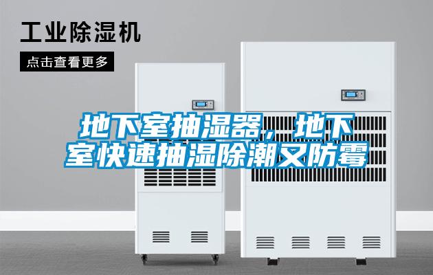 地下室抽濕器，地下室快速抽濕除潮又防霉