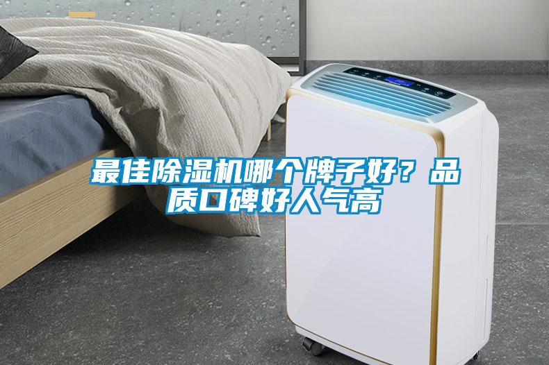 最佳除濕機哪個牌子好？品質口碑好人氣高