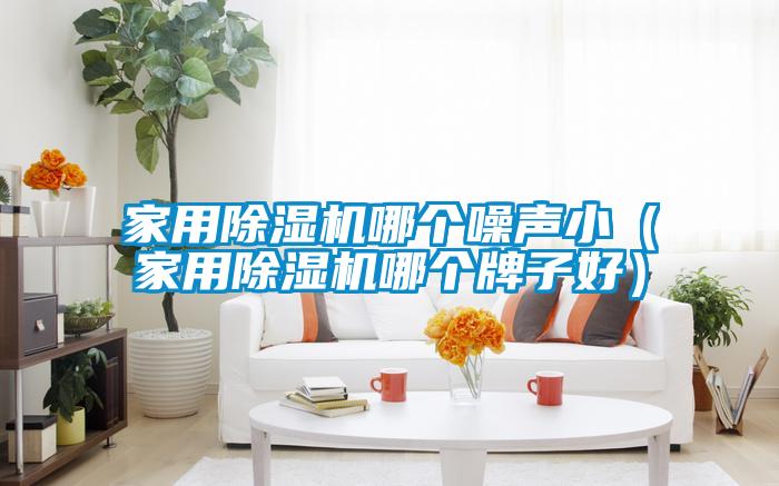 家用除濕機哪個噪聲?。矣贸凉駲C哪個牌子好）