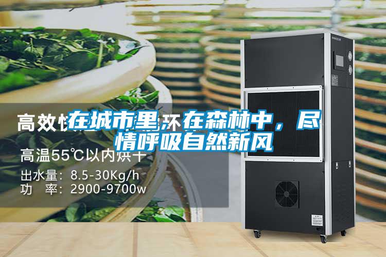 在城市里，在森林中，盡情呼吸自然新風