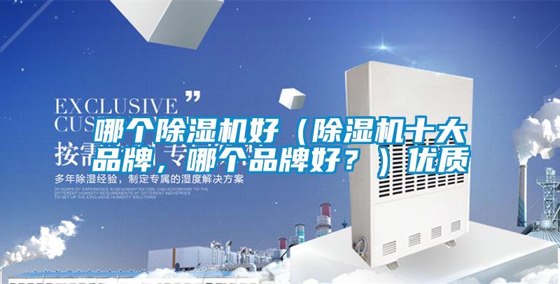 哪個除濕機好（除濕機十大品牌，哪個品牌好？）優質