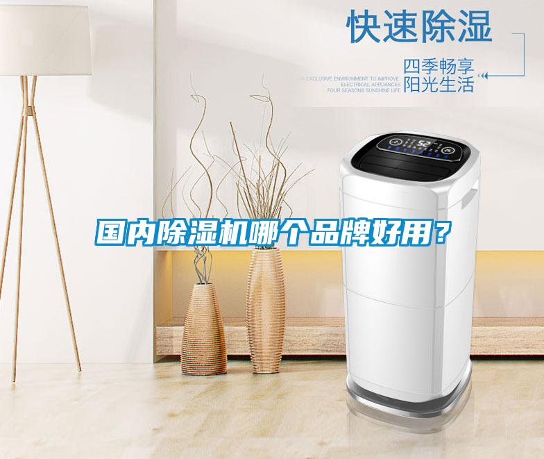 國內除濕機哪個品牌好用？