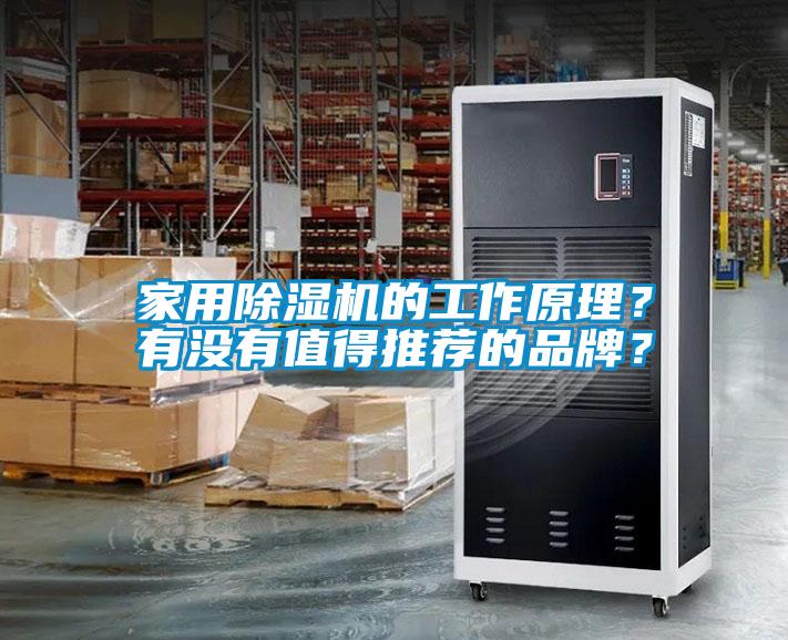 家用除濕機的工作原理？有沒有值得推薦的品牌？