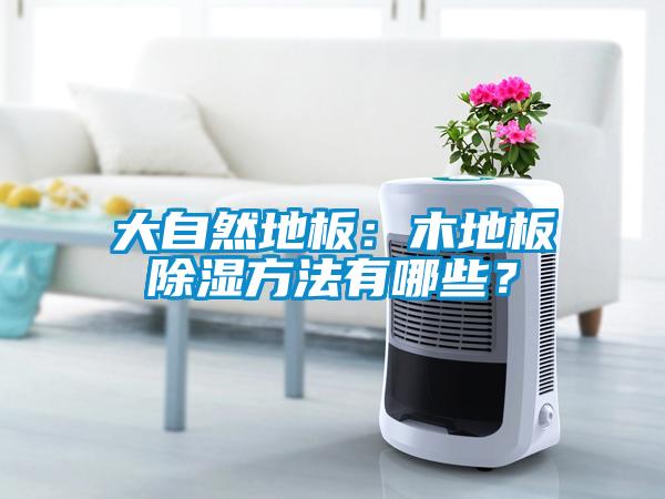 大自然地板：木地板除濕方法有哪些？