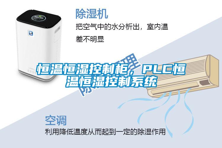 恒溫恒濕控制柜，PLC恒溫恒濕控制系統