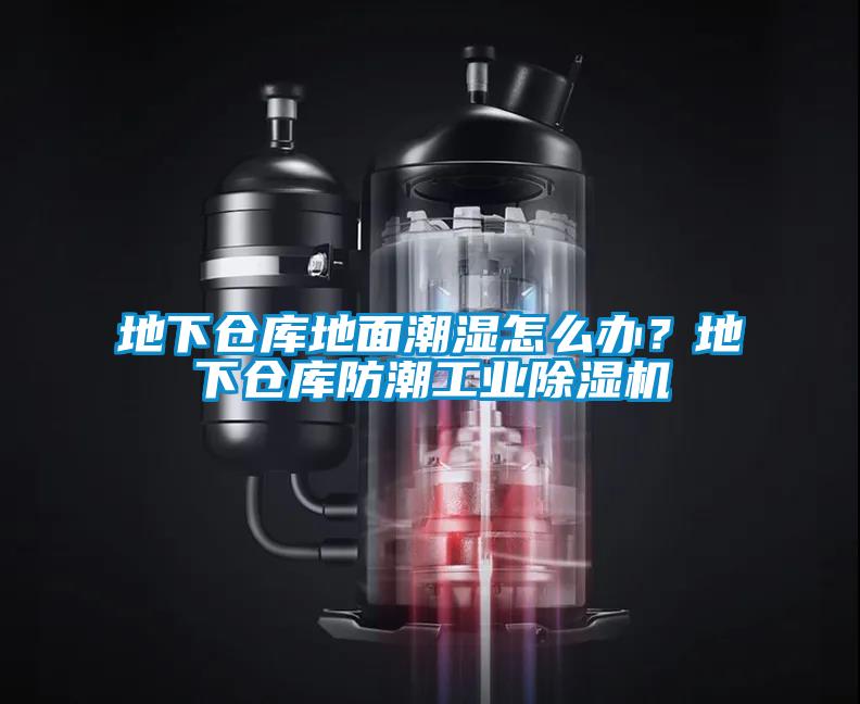 地下倉庫地面潮濕怎么辦？地下倉庫防潮工業除濕機