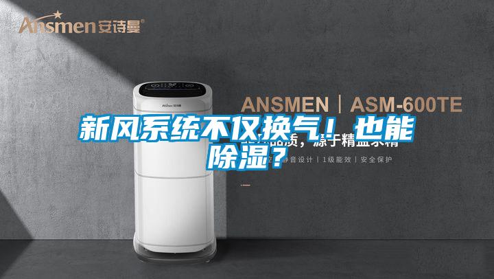 新風系統不僅換氣！也能除濕？