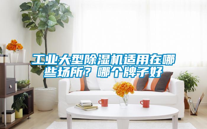 工業大型除濕機適用在哪些場所？哪個牌子好
