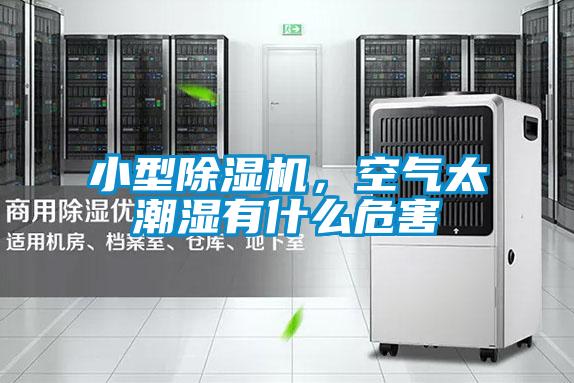 小型除濕機，空氣太潮濕有什么危害