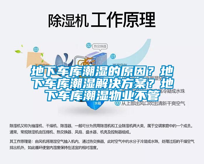 地下車庫潮濕的原因？地下車庫潮濕解決方案？地下車庫潮濕物業不管