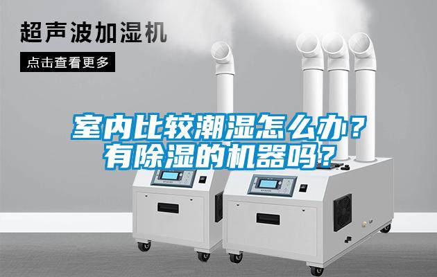 室內比較潮濕怎么辦？有除濕的機器嗎？