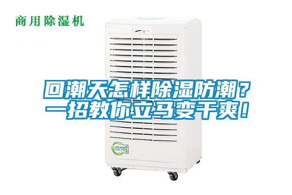 回潮天怎樣除濕防潮？一招教你立馬變干爽！
