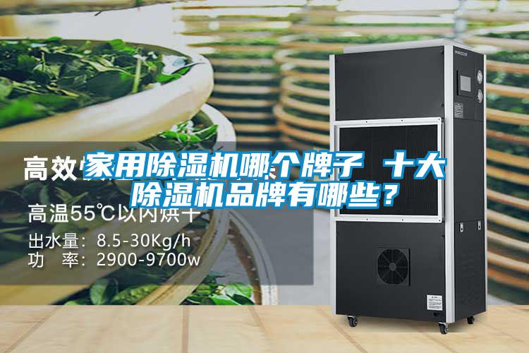 家用除濕機哪個牌子 十大除濕機品牌有哪些？