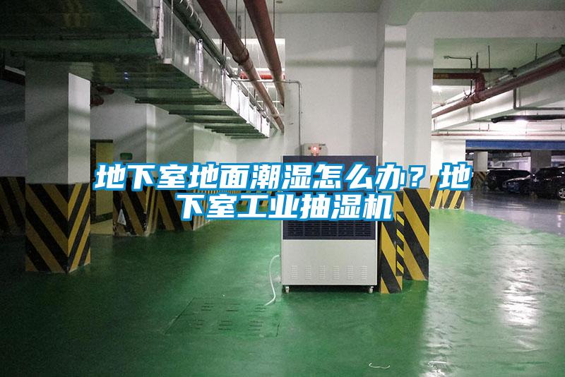 地下室地面潮濕怎么辦？地下室工業抽濕機