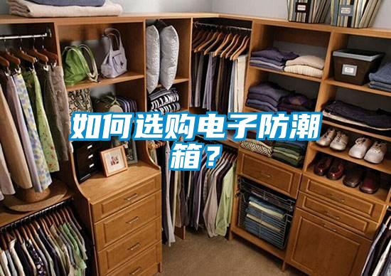 如何選購電子防潮箱？