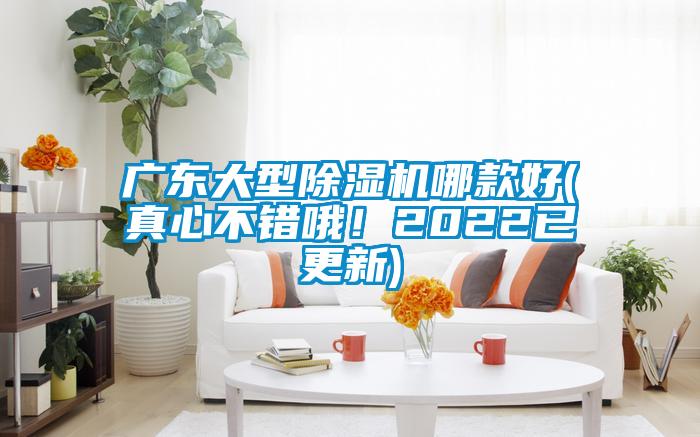 廣東大型除濕機哪款好(真心不錯哦！2022已更新)