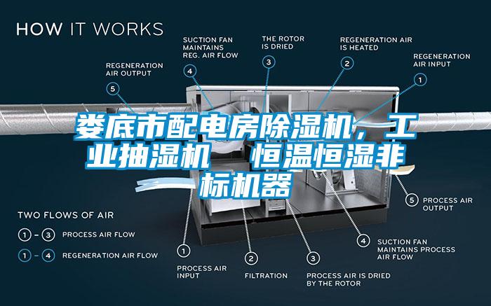 婁底市配電房除濕機，工業抽濕機  恒溫恒濕非標機器