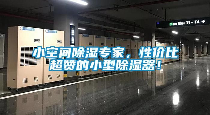 小空間除濕專家，性價比超贊的小型除濕器！