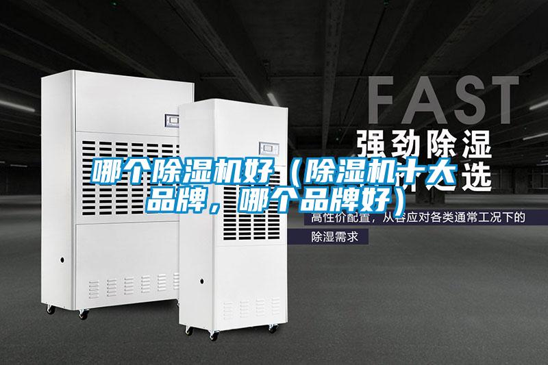 哪個除濕機好（除濕機十大品牌，哪個品牌好）