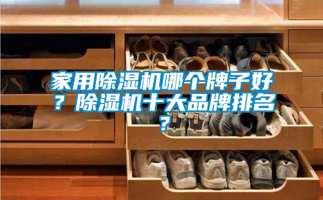 家用除濕機哪個牌子好？除濕機十大品牌排名？