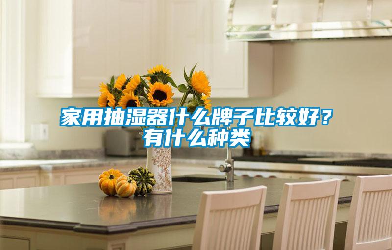 家用抽濕器什么牌子比較好？有什么種類