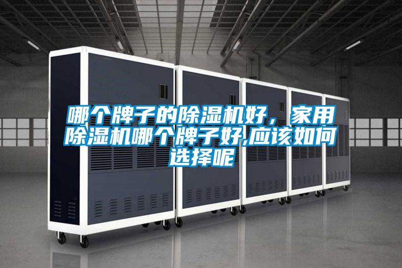 哪個牌子的除濕機好，家用除濕機哪個牌子好,應該如何選擇呢