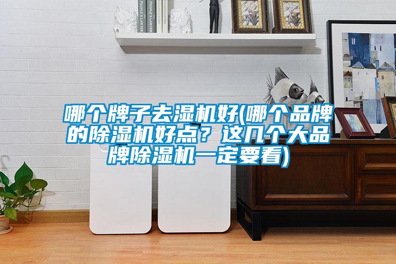 哪個牌子去濕機好(哪個品牌的除濕機好點？這幾個大品牌除濕機一定要看)