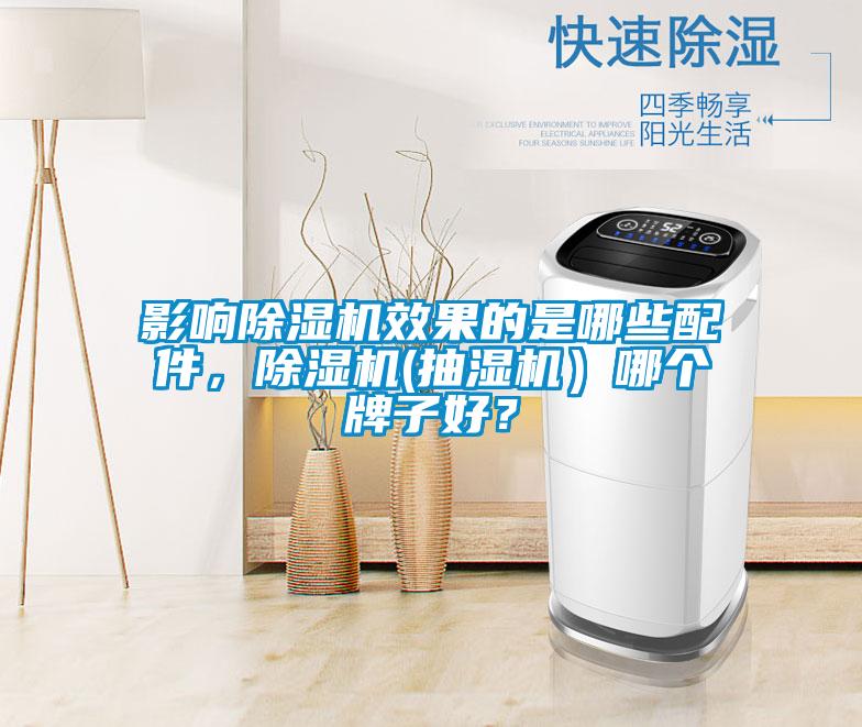 影響除濕機效果的是哪些配件，除濕機(抽濕機）哪個牌子好？
