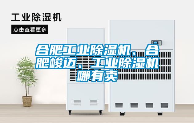 合肥工業除濕機、合肥峻邁、工業除濕機哪有賣