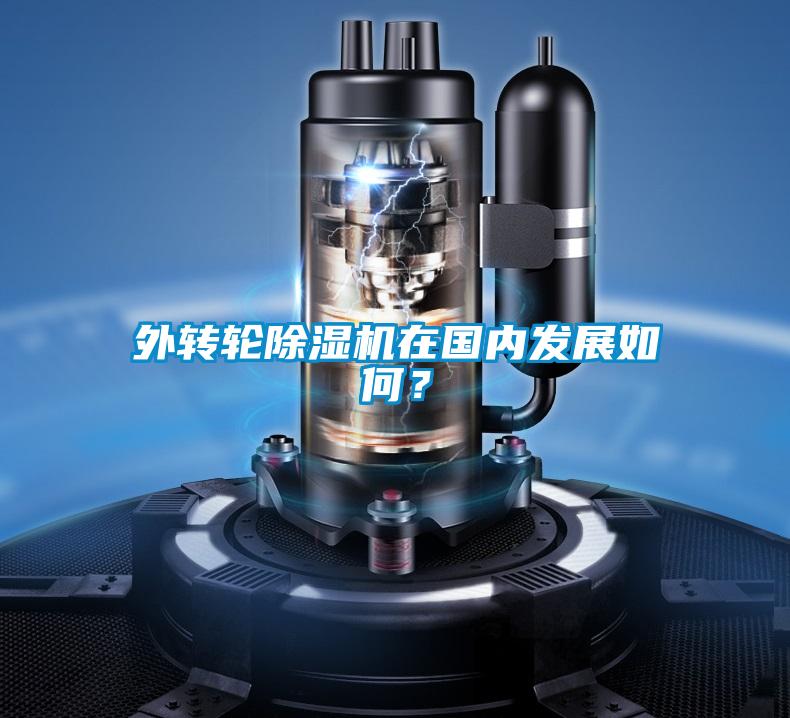 外轉輪除濕機在國內發展如何？