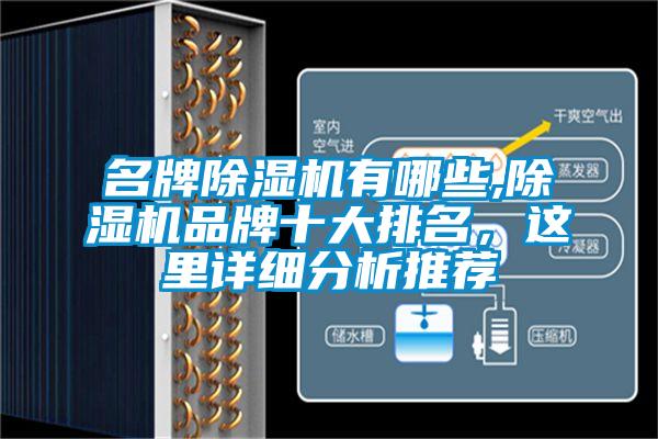 名牌除濕機有哪些,除濕機品牌十大排名，這里詳細分析推薦