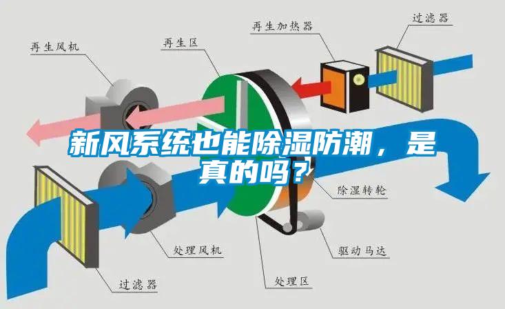 新風系統也能除濕防潮，是真的嗎？