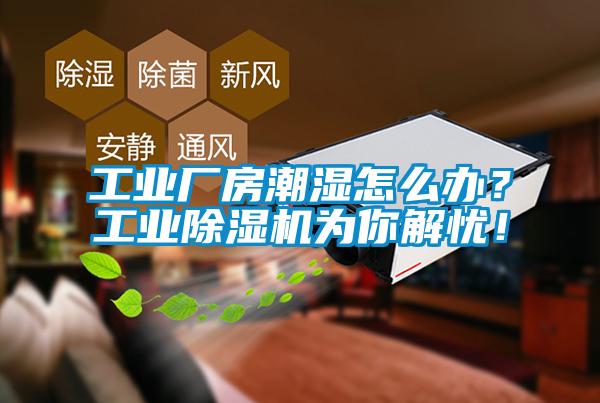 工業廠房潮濕怎么辦？工業除濕機為你解憂！