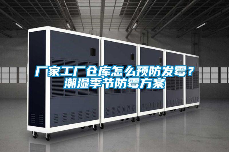 廠家工廠倉庫怎么預防發霉？潮濕季節防霉方案