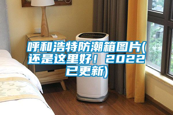 呼和浩特防潮箱圖片(還是這里好！2022已更新)