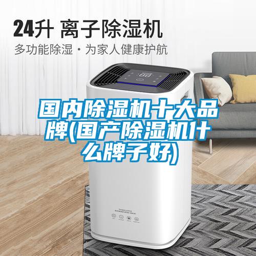國內除濕機十大品牌(國產除濕機什么牌子好)