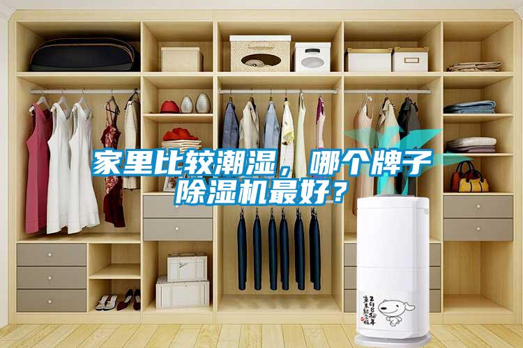 家里比較潮濕，哪個牌子除濕機最好？